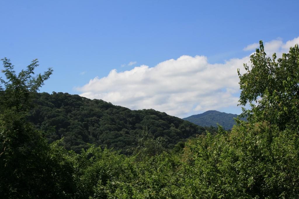 Onda Verde Hostel San Salvador de Jujuy Εξωτερικό φωτογραφία